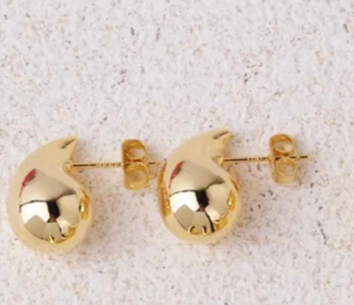 Small Rain Earrings